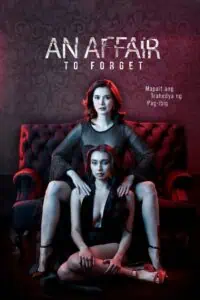 An Affair to Forget (2022)